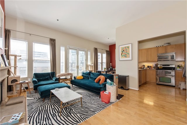 living room with a healthy amount of sunlight and light hardwood / wood-style floors