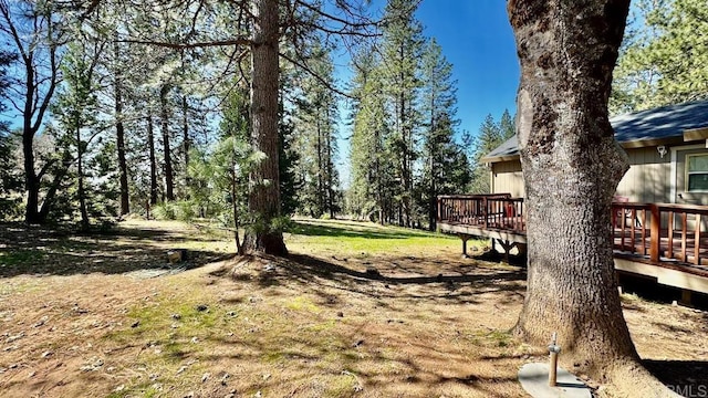 view of yard with a deck