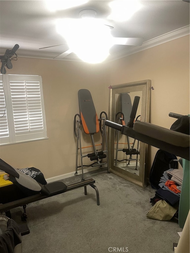 workout area with ornamental molding and carpet floors