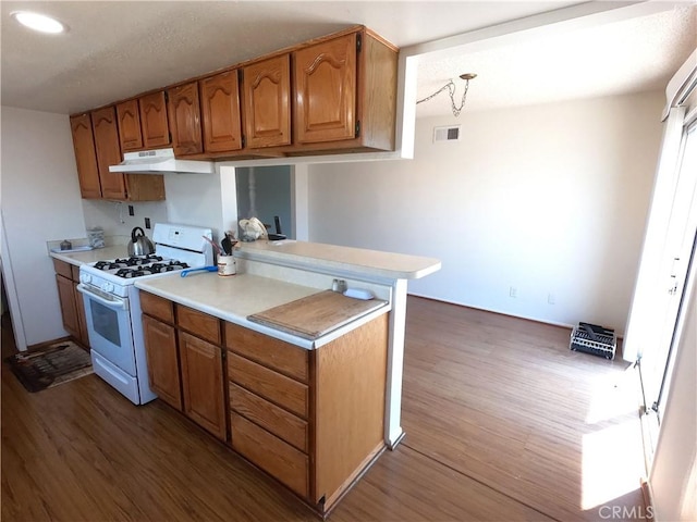 kitchen with hardwood / wood-style flooring, kitchen peninsula, and gas range gas stove