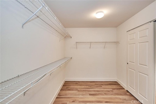 walk in closet featuring light wood-type flooring