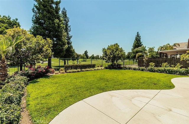 view of yard featuring a patio