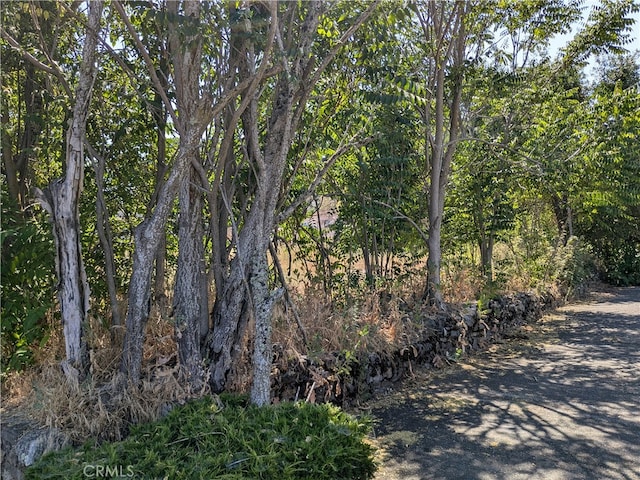 455 N Forbes St, Lakeport, CA 95453