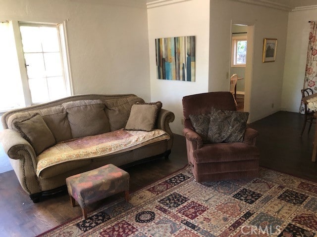 living room featuring wood-type flooring and ornamental molding