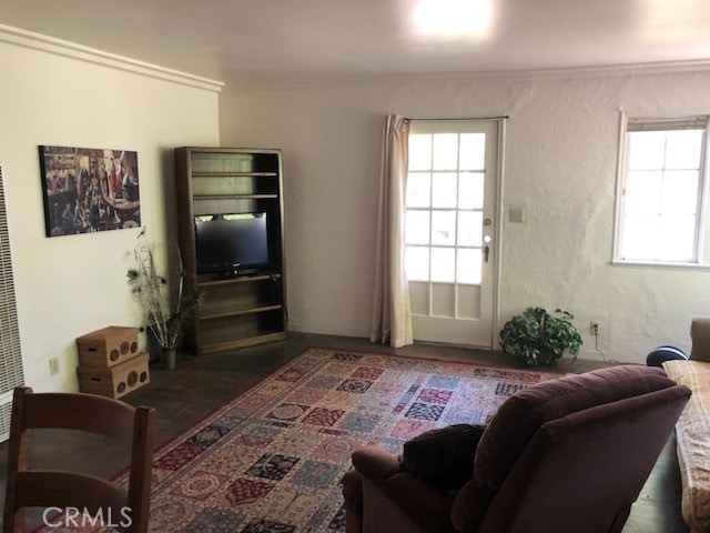 living room with ornamental molding