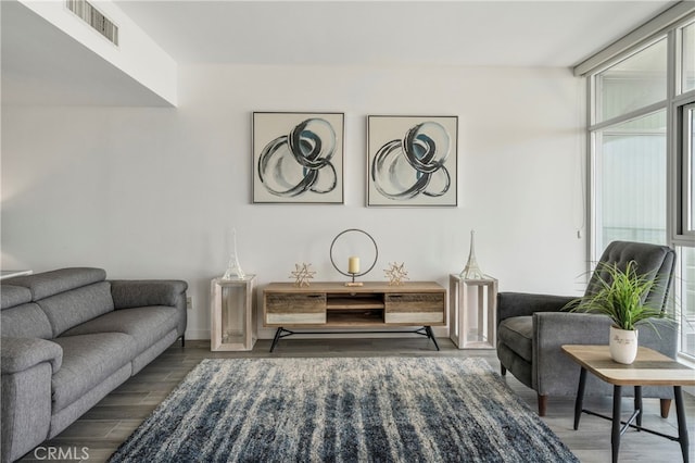 living room featuring dark wood-type flooring