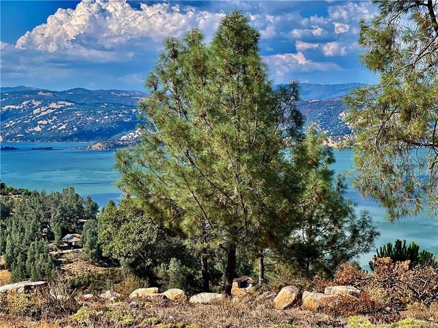 5010 Larkspur Way, Kelseyville, CA 95451 - photo 8