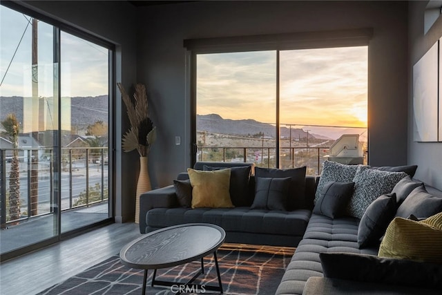 living room with a mountain view, a wealth of natural light, and hardwood / wood-style floors