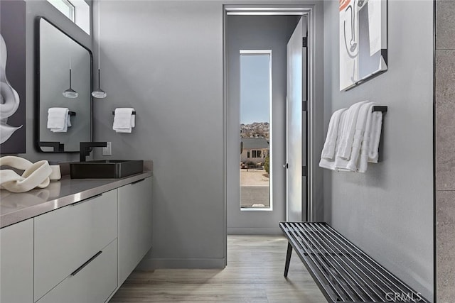 bathroom featuring hardwood / wood-style floors, plenty of natural light, and vanity