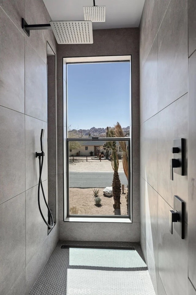 details featuring walk in shower and a mountain view