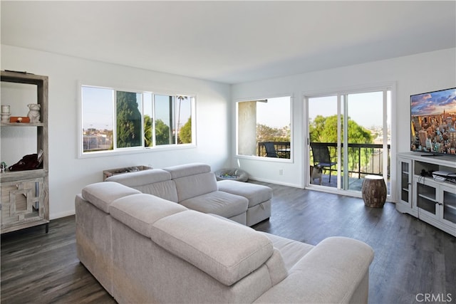 living room with dark hardwood / wood-style floors and a wealth of natural light