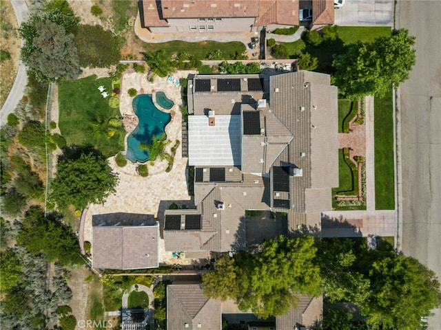 14910 Live Oak Springs Canyon Rd, Canyon Country, CA 91387 - photo 5