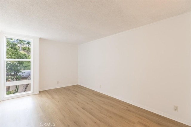 empty room with a textured ceiling and light hardwood / wood-style floors