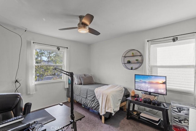 bedroom featuring carpet, ceiling fan, and multiple windows