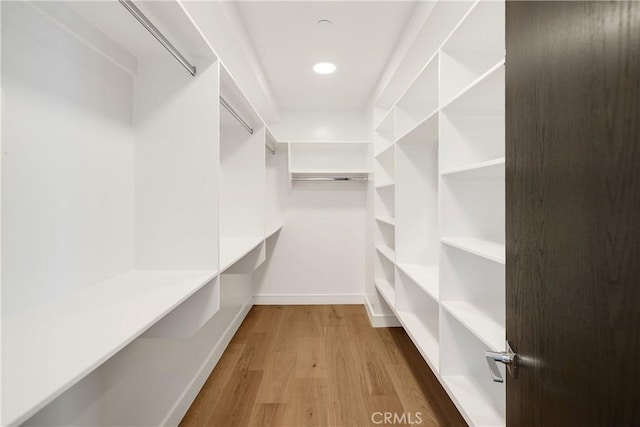 spacious closet with wood-type flooring