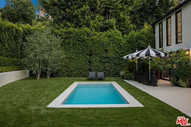 view of pool featuring a patio and a lawn