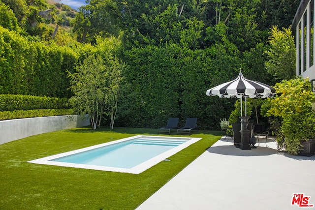 view of pool featuring a patio area and a lawn