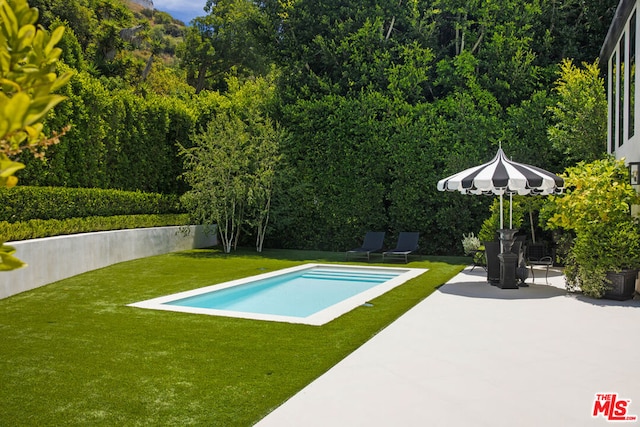 view of swimming pool with a lawn and a patio area