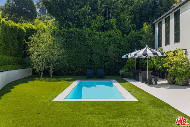 view of pool with a lawn and a patio area