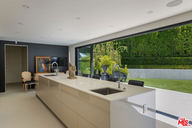 kitchen featuring sink and an island with sink