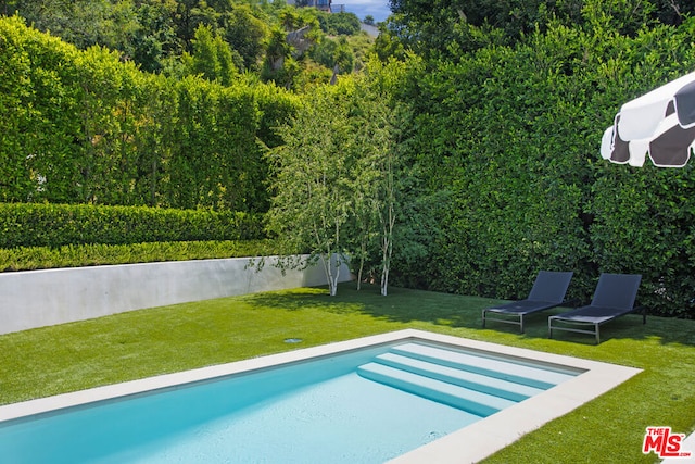 view of swimming pool with a lawn