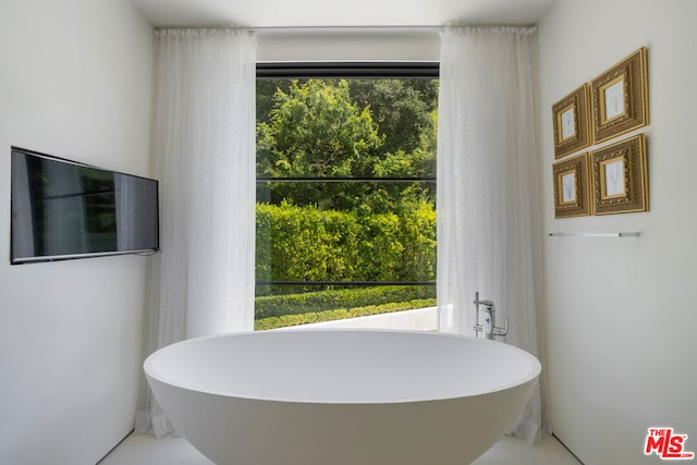 bathroom with a bathtub and a wealth of natural light