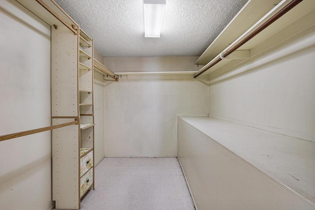 walk in closet with light carpet