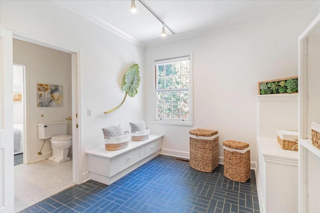 bathroom featuring track lighting, ornamental molding, and toilet