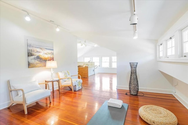 workout area featuring wood-type flooring, vaulted ceiling, a healthy amount of sunlight, and track lighting