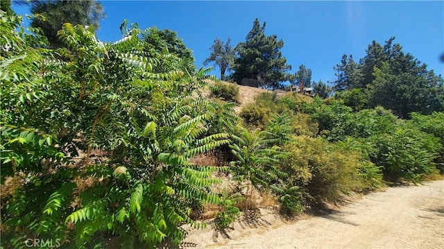 0 Grand Vw, Trail/High Trail Lake Hughes, CA 93532