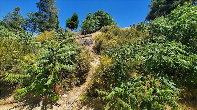 0 Grand Vw, Trail/High Trail Lake Hughes, CA 93532