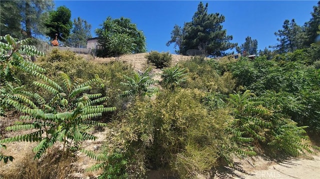 0 Grand Vw, Trail/High Trail Lake Hughes, CA 93532