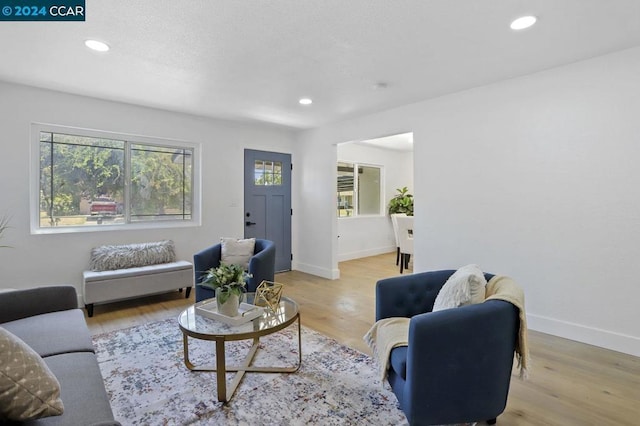 living room with light hardwood / wood-style floors