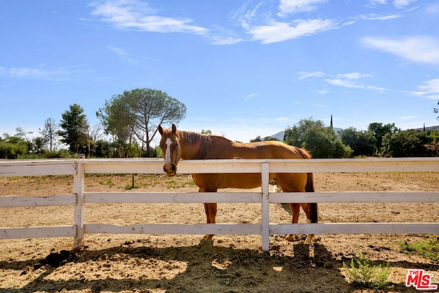 view of yard with a rural view