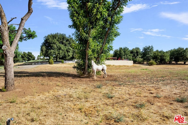 view of yard featuring a rural view