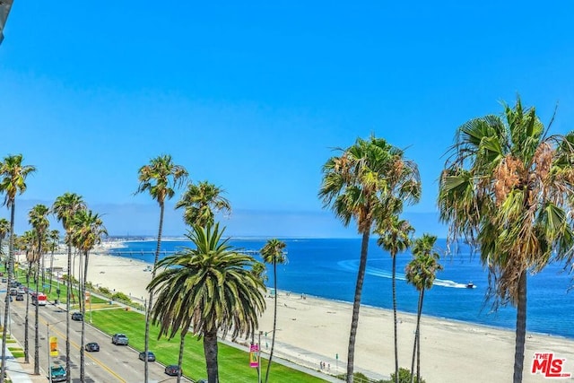 water view featuring a beach view