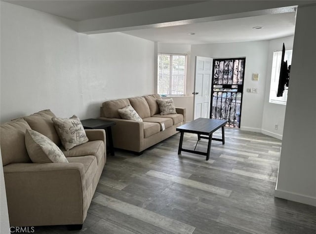 living room featuring dark wood-type flooring