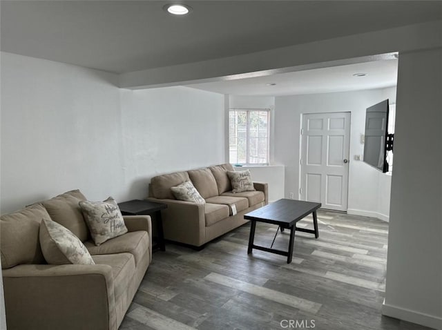 living room featuring hardwood / wood-style floors