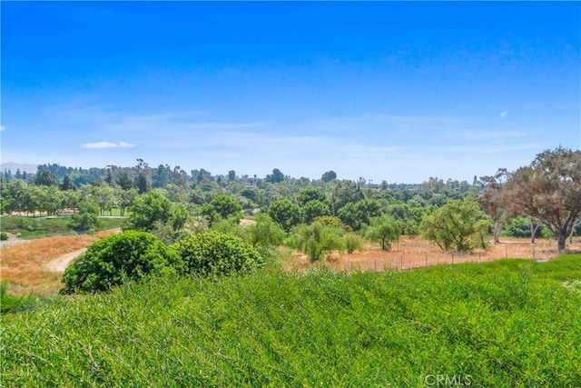 view of local wilderness with a rural view