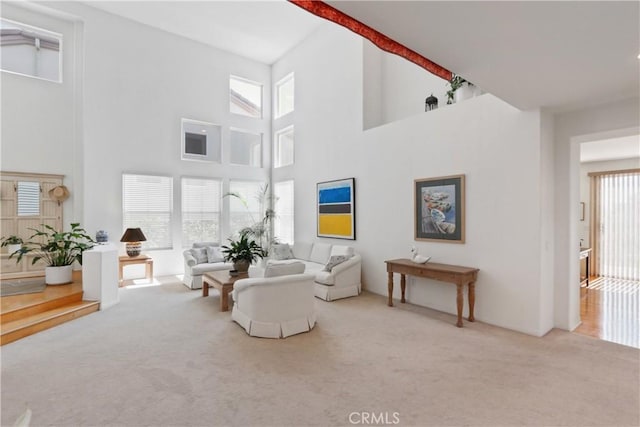 living area with a high ceiling and carpet flooring