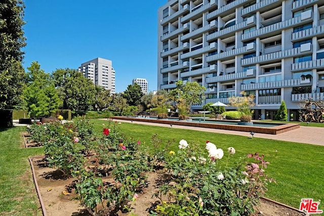 view of community with a lawn