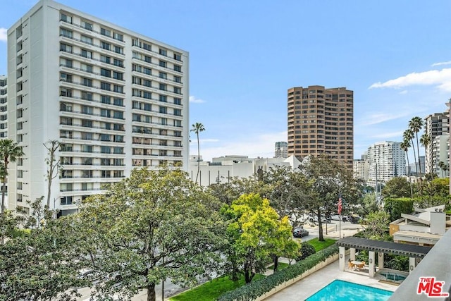 view of swimming pool