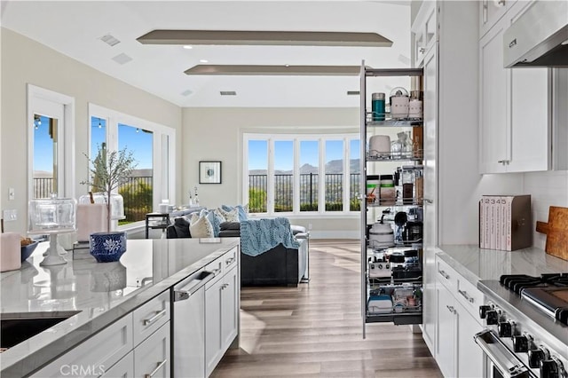 kitchen with white cabinets, exhaust hood, and plenty of natural light