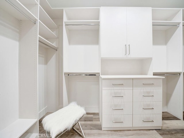 walk in closet with light wood-style floors