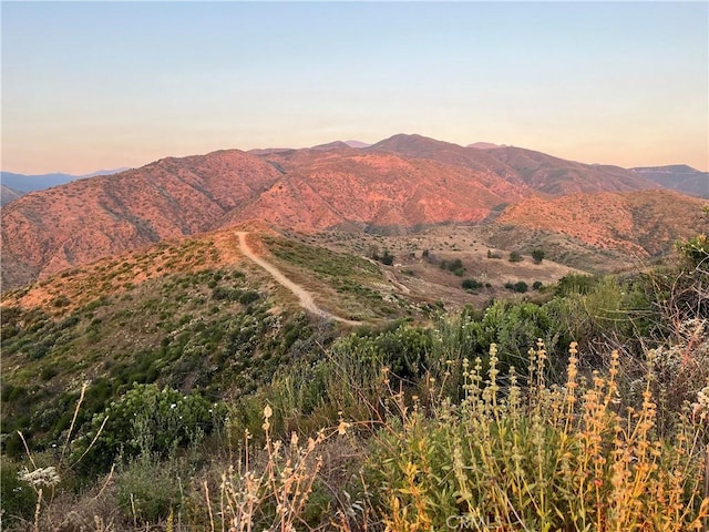 10 Williams Canyon Rd, Silverado Canyon CA, 92676 land for sale