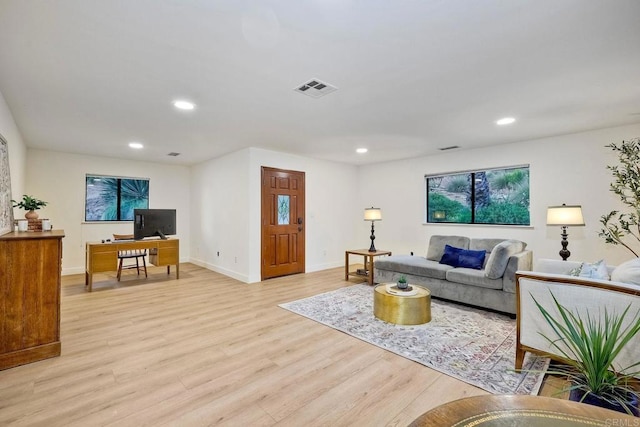 living room featuring light hardwood / wood-style flooring