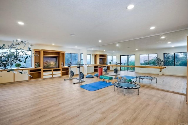 exercise room featuring plenty of natural light and light hardwood / wood-style floors