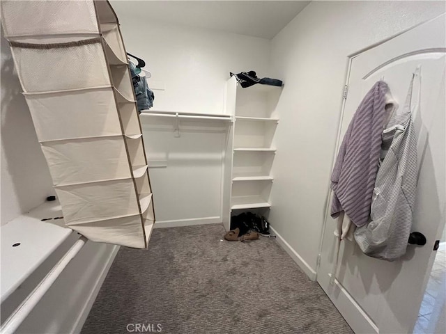 walk in closet featuring carpet