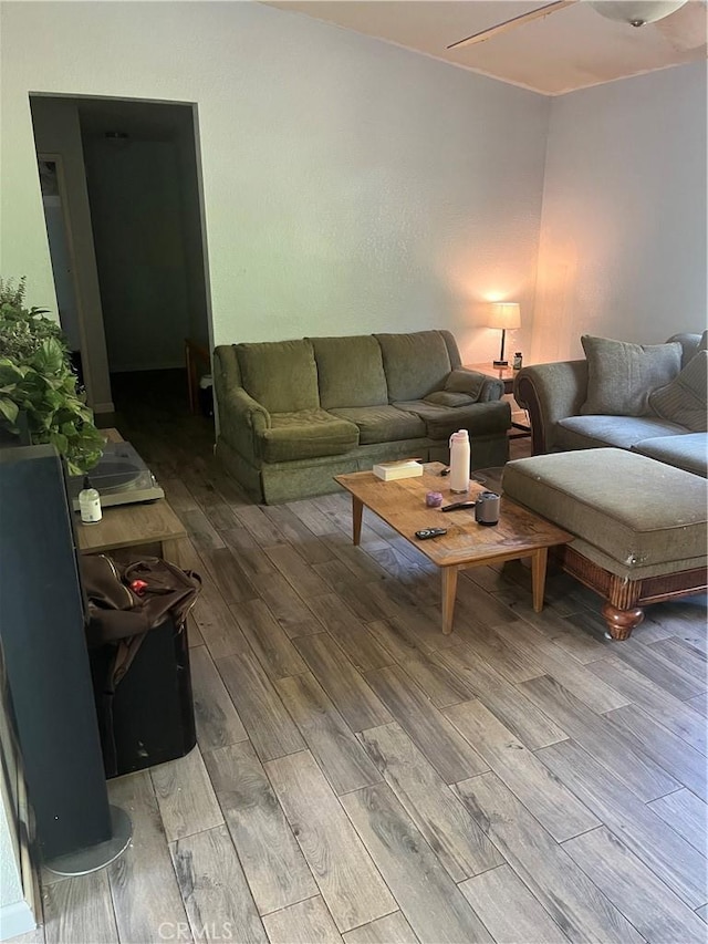 living room featuring wood-type flooring