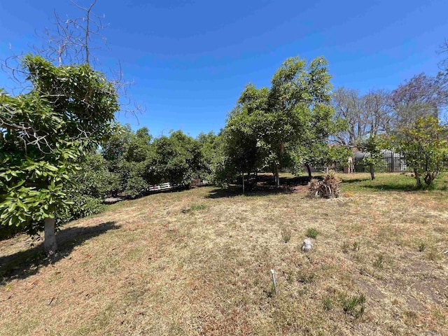 view of yard featuring a rural view